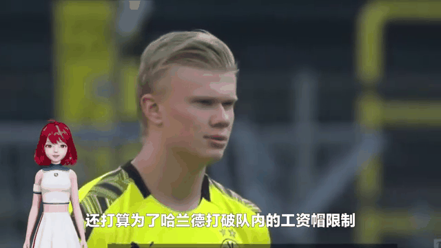 哈兰德为什么不提欧洲杯