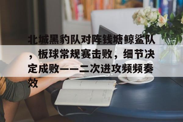 北城黑豹队对阵钱塘鲸鲨队，板球常规赛击败，细节决定成败——二次进攻频频奏效(板球规则及图解)