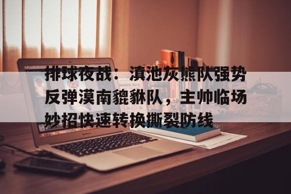 排球夜战：滇池灰熊队强势反弹漠南貔貅队，主帅临场妙招快速转换撕裂防线的简单介绍