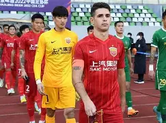 爱游戏体育app下载-北京国安亚冠比赛回放